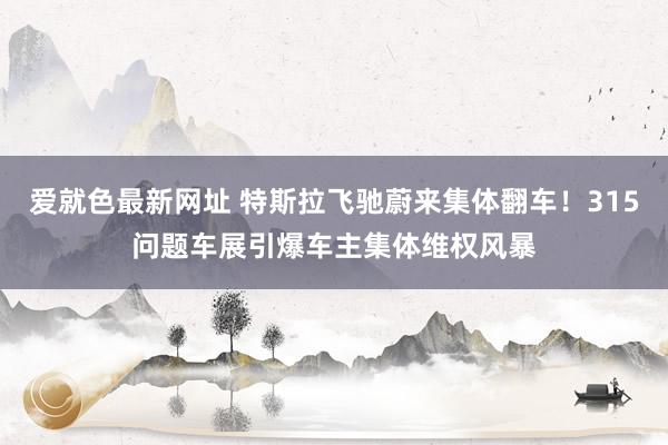 爱就色最新网址 特斯拉飞驰蔚来集体翻车！315问题车展引爆车主集体维权风暴