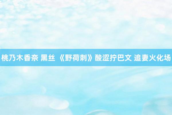 桃乃木香奈 黑丝 《野荷刺》酸涩拧巴文 追妻火化场