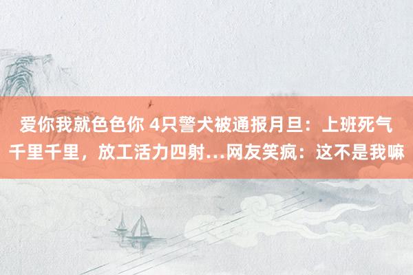 爱你我就色色你 4只警犬被通报月旦：上班死气千里千里，放工活力四射…网友笑疯：这不是我嘛