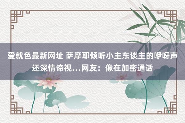 爱就色最新网址 萨摩耶倾听小主东谈主的咿呀声还深情谛视…网友：像在加密通话